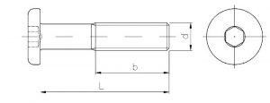 Wkręt metryczny z łbem walcowym z wgłębieniem imbusowym, z gwintem na części (wwi) - kl.4.8 schemat