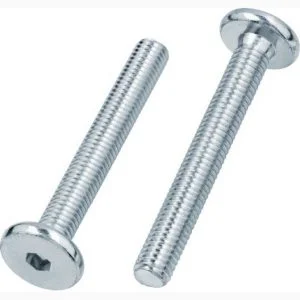 Wkret-metryczny-z-lbem-walcowym-z-wglebieniem-imbusowym-pelny-gwint-ocynk-bialy-300x300